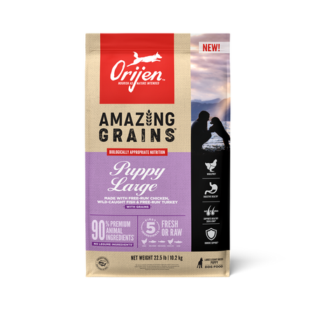 ORIJEN Amazing Grains Puppy Large High Protein Dry Dog Food (22.5 lb)