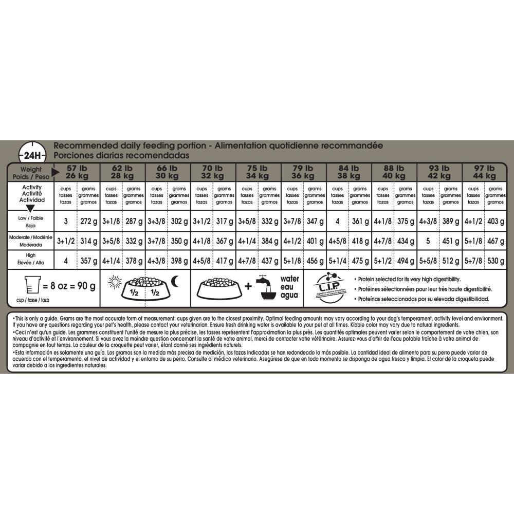 Picture of Royal Canin Large Breed Digestive Care Dry Dog Food - Pennington, NJ ...