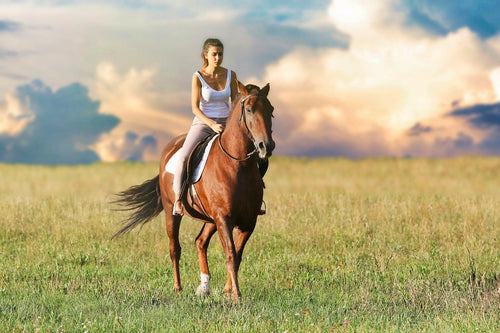 Hot Weather Horse Riding Tips