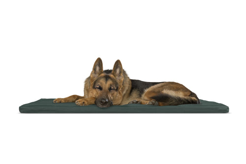 FurHaven Water-Resistant Kennel Pad for Crates & Kennels