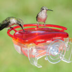 Aspects Gem Hummingbird Window Feeder (4 oz)