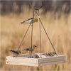 Perky-Pet® Hanging Tray Bird Feeder