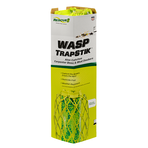WEST. ウェッシャーツ!!!!!!!緑 Rescue TrapStik Wasp Trap - Pennington, NJ - Rosedale Town & Country