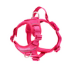 RC Pet Momentum Control Harness