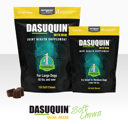 Nutramax Dasuquin With MSM Soft Chews for Dogs