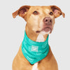 Canada Pooch Cooling Bandana Wet Reveal Green