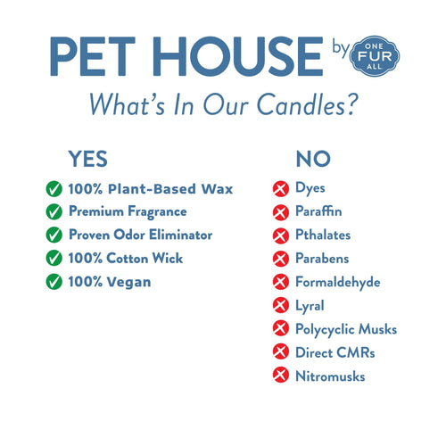 Pet House Snow Cone Candle