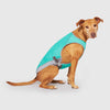Canada Pooch Chill Seeker Cooling Dog Vest Wet Reveal