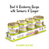 Weruva Awesome Bouncy Beef & Riceberry Recipe with Turmeric & Ginger In Broth Dog Food