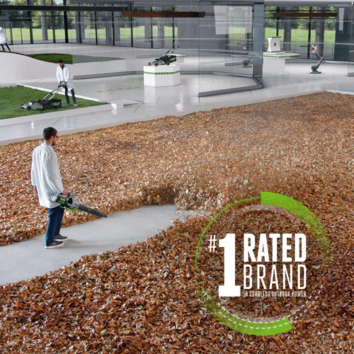 Ego Power+ 650 CFM Blower