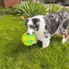 KONG Flexball Sport Ball Dog Toy
