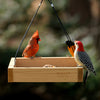 Nature's Way Hanging Platform Feeder