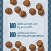 Nutrena® Loyall Life® Lamb Meal & Brown Rice Recipe Adult Dog Food