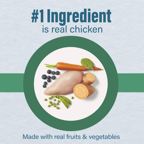 Nutrena®Loyall Life® Large Breed Chicken & Brown Rice Recipe Adult Dog Food