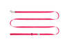 RC Pet Petite Primary Leash for Dogs