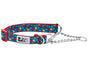RC PETS TRAINING COLLAR