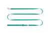 RC Pet Petite Primary Leash for Dogs