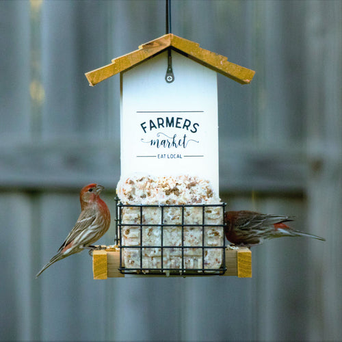 Nature's Way Bird Products Farmhouse Hopper Feeder