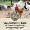 Nutrena® NatureWise® Oyster Shell