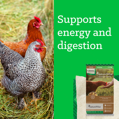 Nutrena® NatureWise® Scratch Grains
