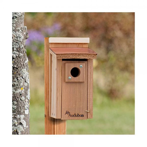 Audubon Coppertop Cedar Wood Bluebird House