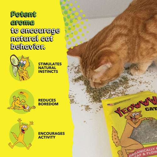 Yeowww! Catnip Pouch