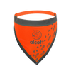Visibility Dog Bandanas