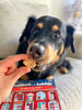 Spunky Pup Count Down to the Holidays Treat Advent Calendar