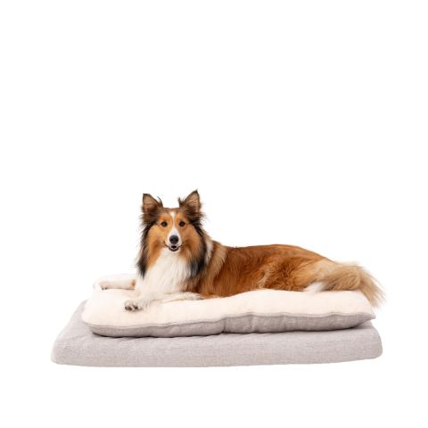 Territory Khaki Orthopedic Pillow Top Dog Bed