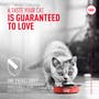 Royal Canin Probiotics for Cats Digestive and Immune Health Powder Supplement