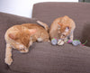 SmartyKat Skitter Critters Value Pack Plush Catnip Cat Toys, Gray & Cream (Set of 10)