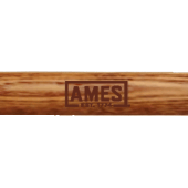 Ames D-HANDLE #12 POLY SCOOP