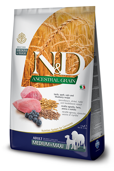 Farmina N&D Ancestral Grain Formula Medium & Maxi Lamb, Pumpkin & Blueberry Adult Dog Food