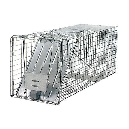 Havahart® Large 1-Door Trap